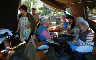 05-Falunap-2011
