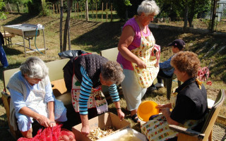 06-Falunap-2011