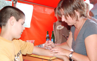 21-Falunap-2011