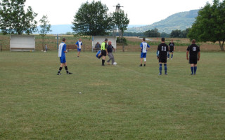 24-Falunap-2011