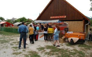 27-Falunap-2011