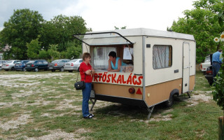 28-Falunap-2011