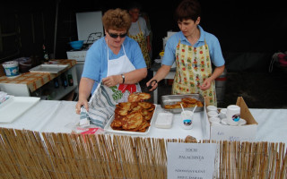 29-Falunap-2011