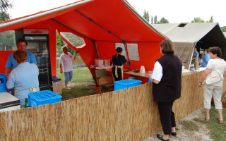 30-Falunap-2011