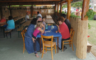 32-Falunap-2011
