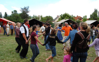 37-Falunap-2011