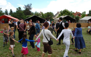 38-Falunap-2011