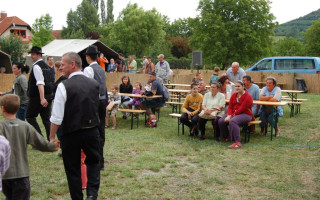 40-Falunap-2011