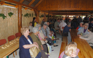 48-Falunap-2011