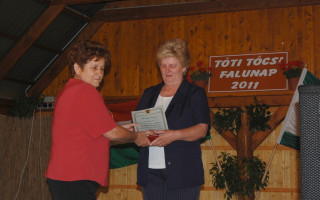 50-Falunap-2011