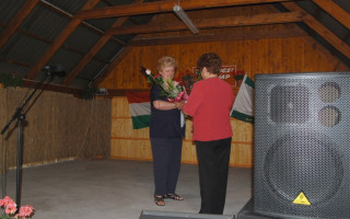 51-Falunap-2011