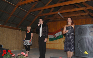 55-Falunap-2011