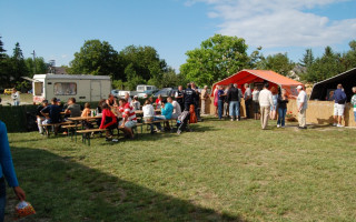 57-Falunap-2011