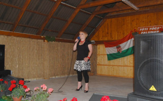 59-Falunap-2011