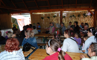 60-Falunap-2011