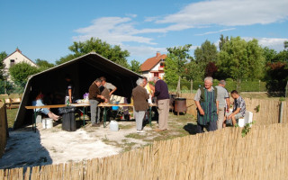 61-Falunap-2011