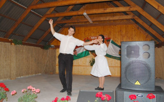 66-Falunap-2011