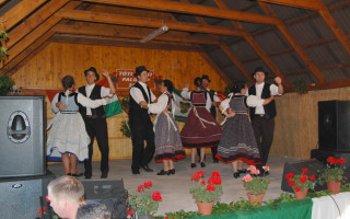 67-Falunap-2011