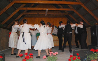 68-Falunap-2011