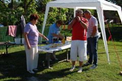 Falunap 2012