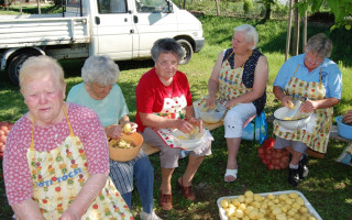 005-Falunap-2012