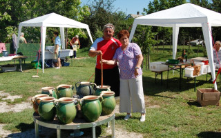 010-Falunap-2012