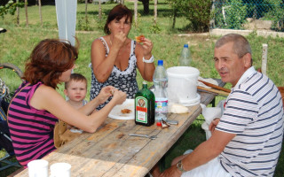 027-Falunap-2012
