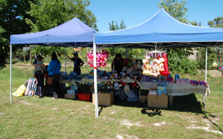 031-Falunap-2012
