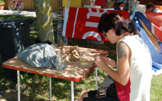 035-Falunap-2012