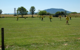 036-Falunap-2012