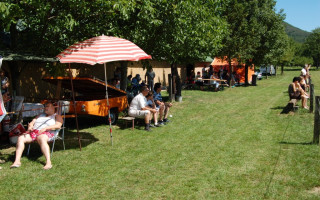 038-Falunap-2012