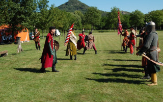 045-Falunap-2012