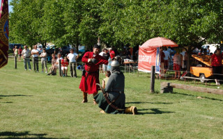 046-Falunap-2012