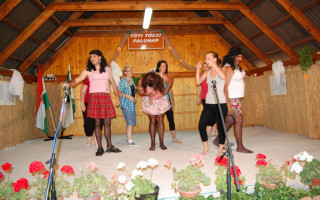 054-Falunap-2012