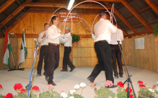 058-Falunap-2012