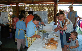 060-Falunap-2012