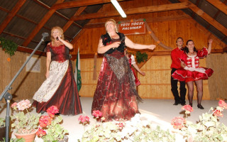 065-Falunap-2012