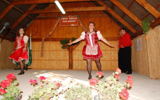 066-Falunap-2012