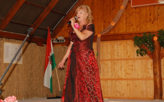 067-Falunap-2012