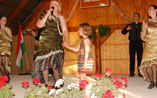 070-Falunap-2012