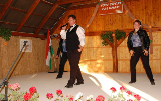 071-Falunap-2012