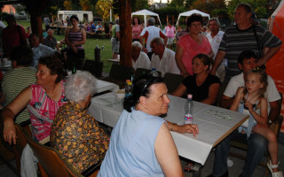 082-Falunap-2012