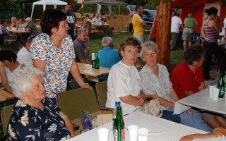 090-Falunap-2012