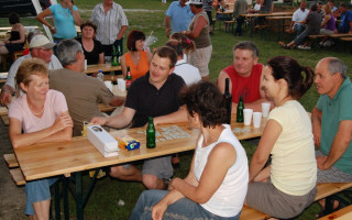 096-Falunap-2012