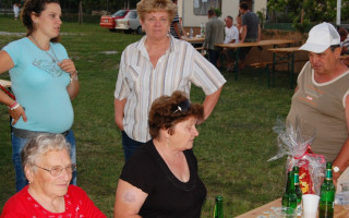 098-Falunap-2012
