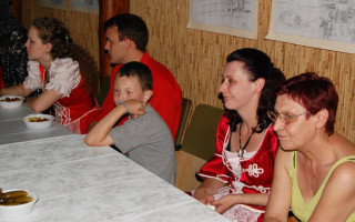 100-Falunap-2012