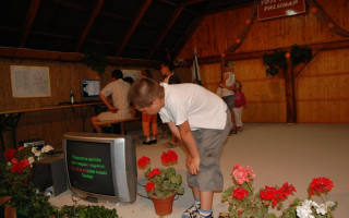106-Falunap-2012