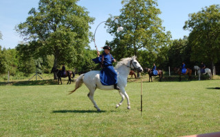 087-Toti-falunap-2014