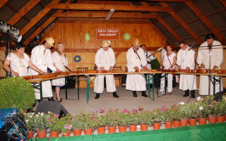 128-Toti-falunap-2014