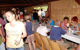 134-Toti-falunap-2014
